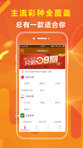 王中王正版一肖資料大全，深度解析與探索，王中王正版一肖資料大全，深度剖析與探索