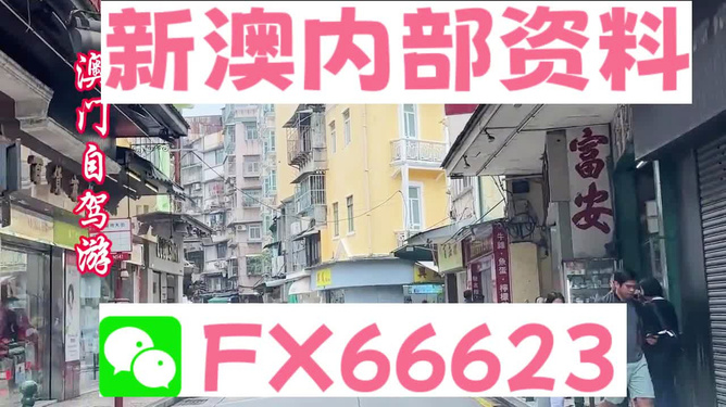 新澳精準(zhǔn)資料免費(fèi)提供，探索與解析，新澳精準(zhǔn)資料解析與探索，免費(fèi)提供的深度解讀