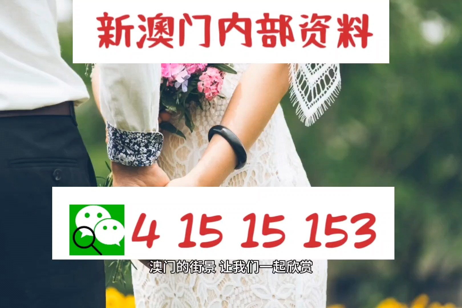 新澳最準的免費資料——探索獨家信息的寶藏，新澳最準獨家信息寶藏揭秘，免費資料一網打盡