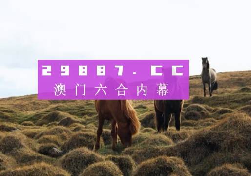 澳門彩票結果，探索2023年六開彩的奧秘與結果，澳門彩票結果揭秘，探索2023年六開彩奧秘與最新結果