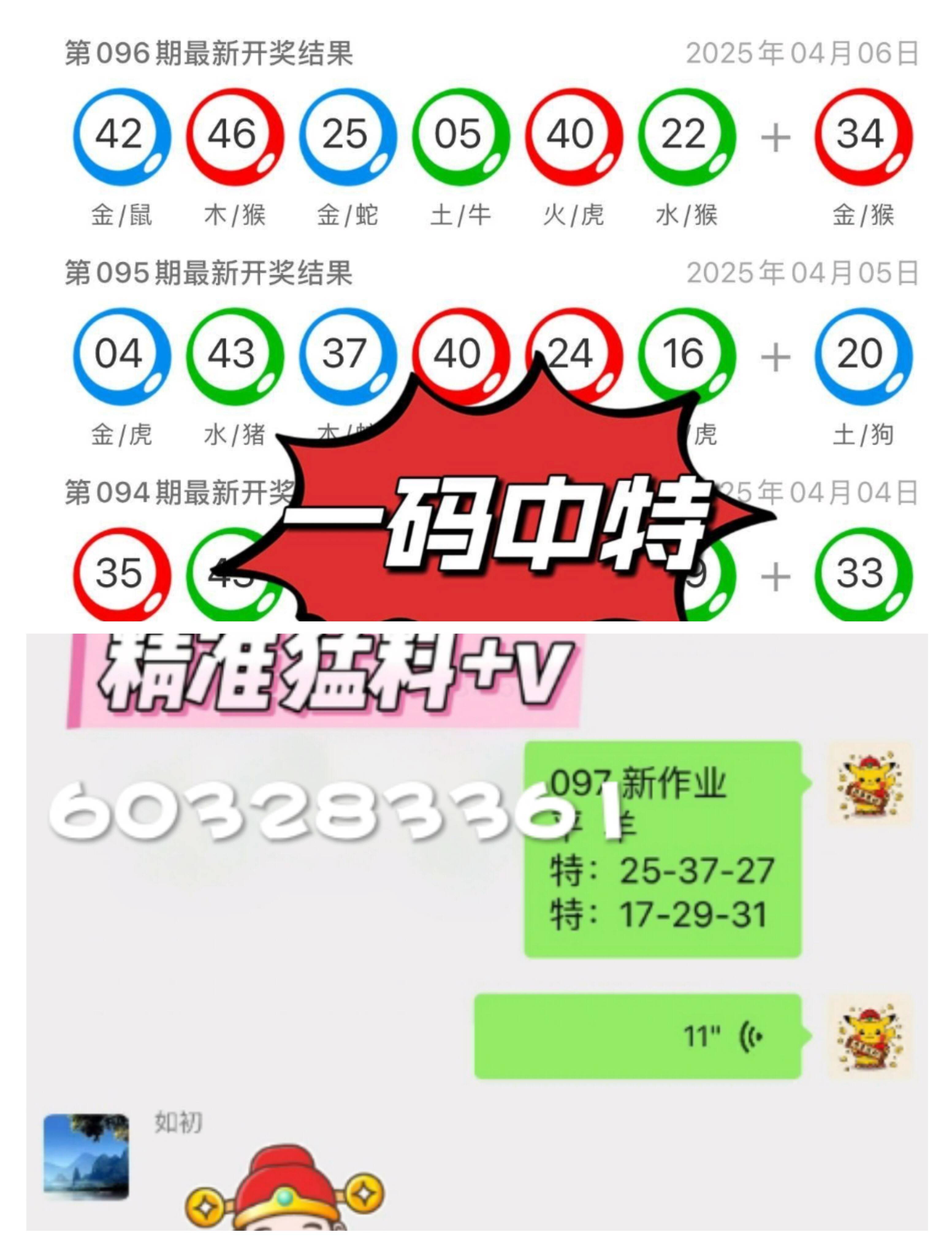 澳門一肖一碼中的奧秘與探索，澳門一肖一碼中的奧秘揭秘與探索之旅