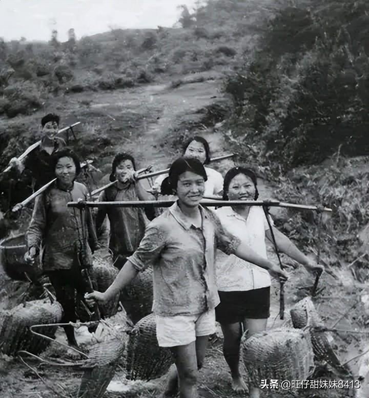 關(guān)于49圖庫圖片資料的專業(yè)解析與探索，49圖庫圖片資料深度解析與探索