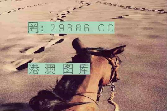 香港特馬資料王中王24期，深度解析與探索，香港特馬資料王中王深度解析與探索，第24期探索之旅