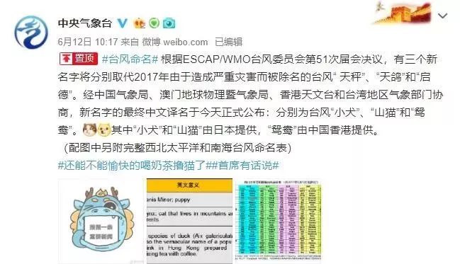 新澳門必中三肖三碼三期必開劉伯，揭秘彩票背后的秘密與策略，揭秘彩票背后的秘密與策略，劉伯的新澳門三期必開三肖三碼預(yù)測技巧