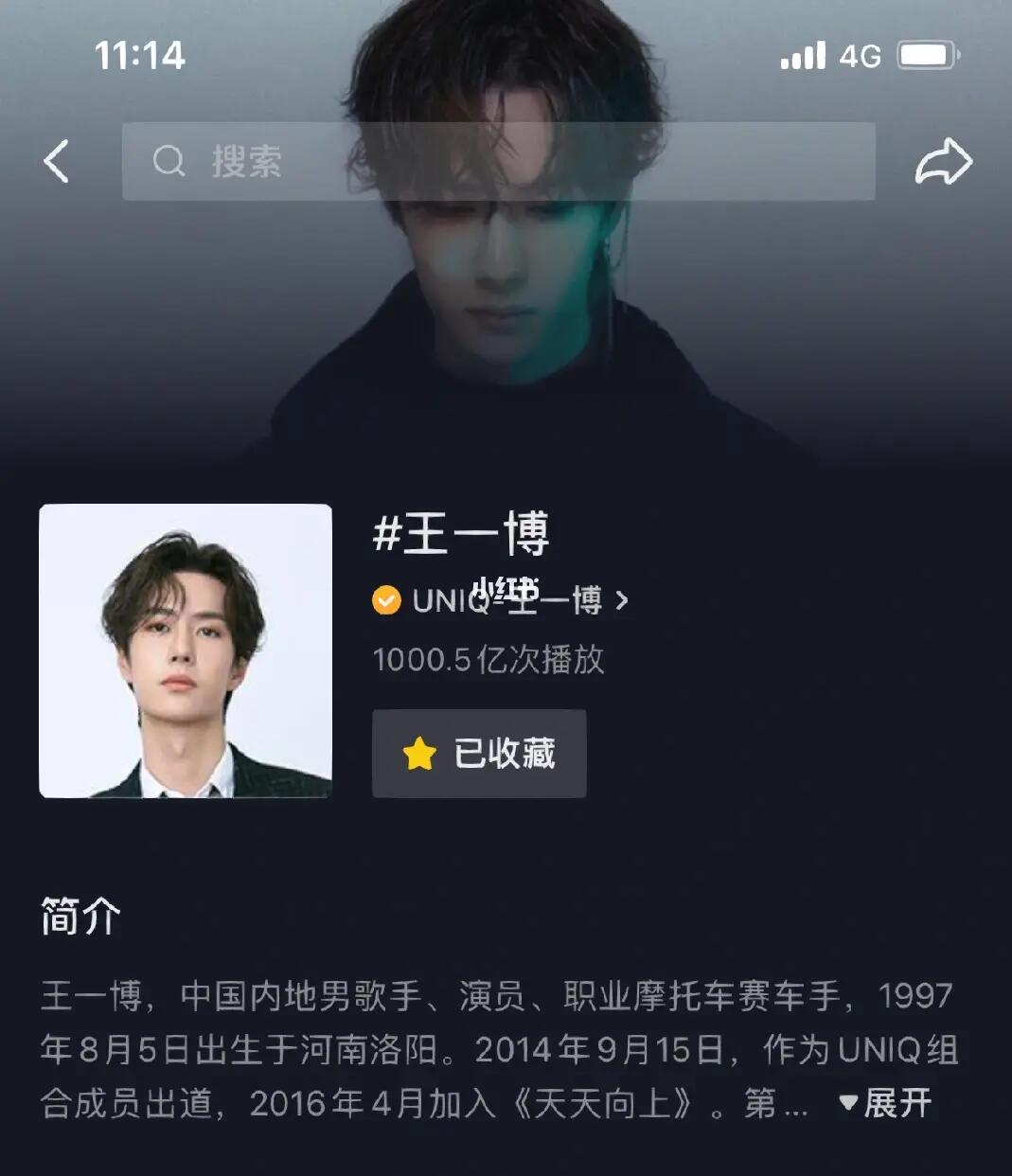 王中王一肖內(nèi)部資料詳解，王中王一肖內(nèi)部資料深度解析