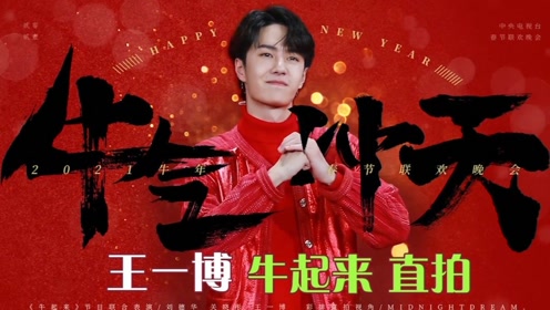 關(guān)于中王王中王一肖中特的SEO文章，中王王中王一肖中特的SEO優(yōu)化策略解析