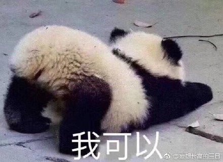 澳門精準四不像最新正版，揭秘與探索，澳門精準四不像揭秘與探索最新正版資訊