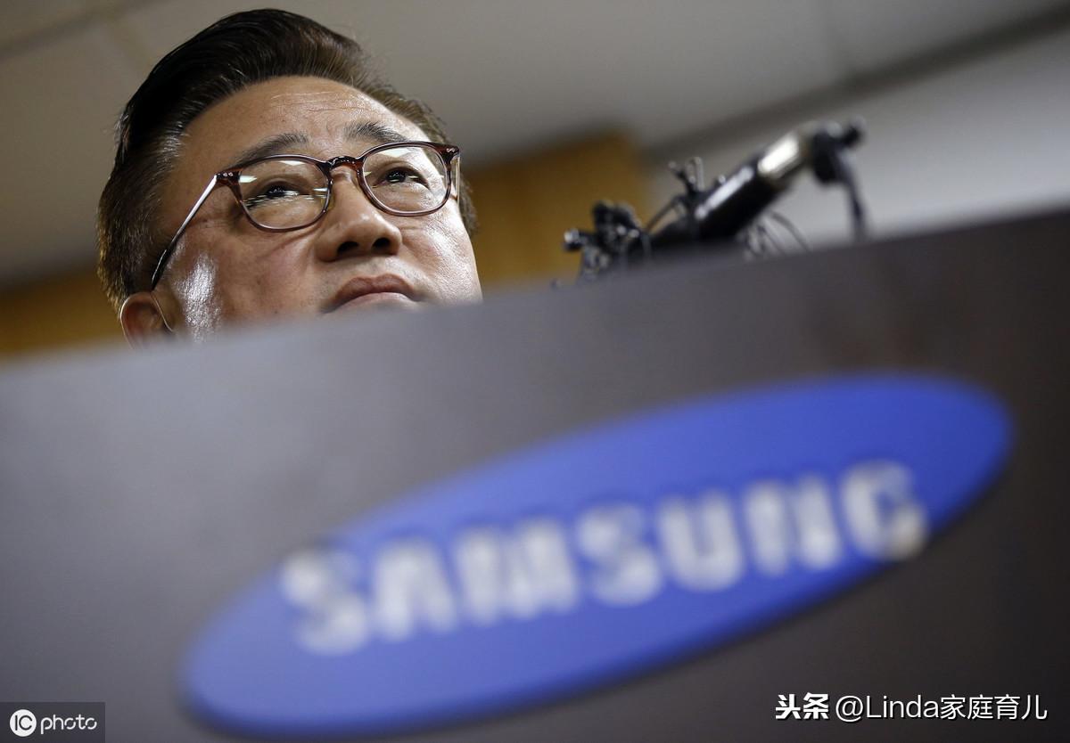 王中王86期指一生肖，深度解析與預測，王中王86期生肖深度解析與預測，揭秘生肖運勢走向