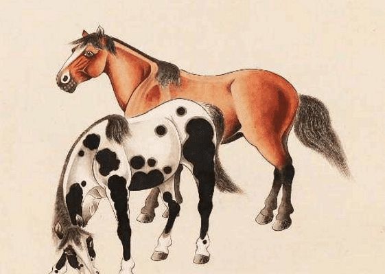 馬一王中王特平一肖圖，深度解析與SEO優(yōu)化策略，深度解析馬一王中王特平肖圖，SEO優(yōu)化策略探討