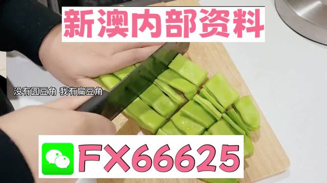 新澳精選資料免費提供，探索優(yōu)質(zhì)資源的海洋，新澳精選資料免費探索，優(yōu)質(zhì)資源海洋的開啟