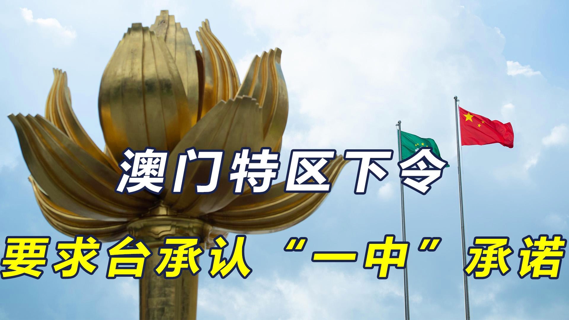 澳門一碼一肖一特一中直播，探索與體驗(yàn)獨(dú)特的娛樂盛宴，澳門一碼一肖直播，獨(dú)特娛樂盛宴的探索與體驗(yàn)