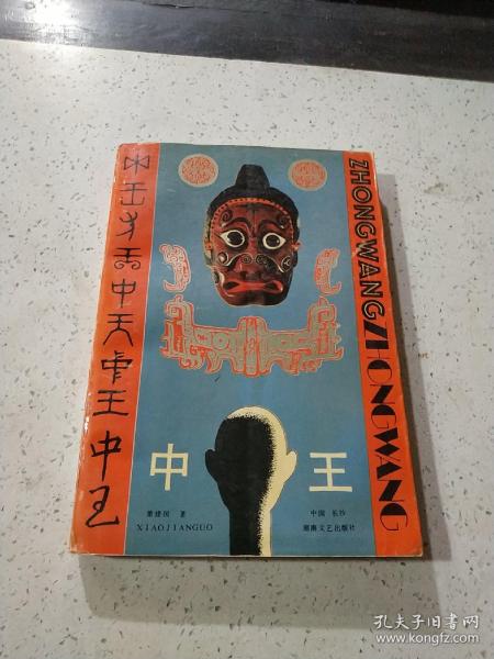 王中王資料與肖中特，深度解析，王中王資料與肖中特深度剖析