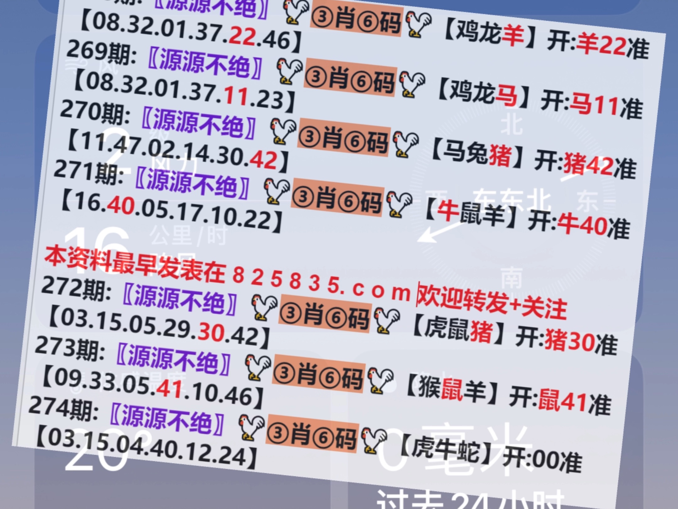 澳門一肖一碼開獎結(jié)果，揭秘彩票背后的秘密，澳門彩票開獎結(jié)果揭秘，一肖一碼背后的秘密