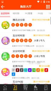 探索域名www王中王平特一肖c.m背后的故事，揭秘域名www王中王平特一肖c.m背后的故事
