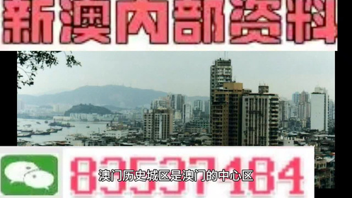 澳門全年免費資料寶庫