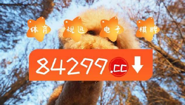 今期必中一肖一碼白小姐，揭秘彩票背后的秘密與策略，揭秘彩票背后的秘密與策略，白小姐今期必中一肖一碼解析