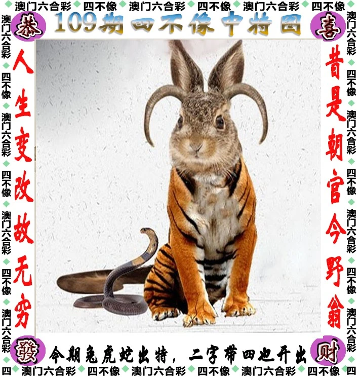 四不像王中王資料一肖，深度解析與探索，四不像王中王資料一肖，深度解析與探索揭秘