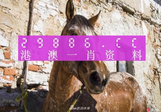 王中王資料一門肖中，深度解析與探索，王中王資料一門肖詳解，深度解析與探索