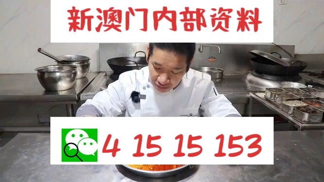 管家婆一肖資料大全，深度解析與探索，管家婆一肖資料深度解析與探索大全