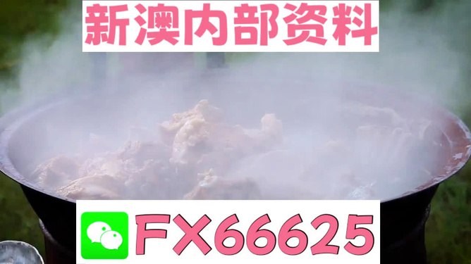 新澳全年免費(fèi)資料大全，一站式獲取優(yōu)質(zhì)資源指南，新澳全年優(yōu)質(zhì)資源免費(fèi)獲取指南