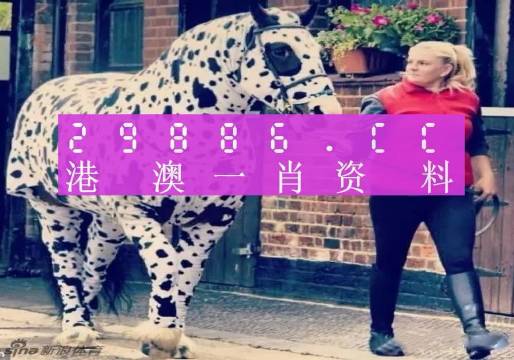 王中王一肖一馬中特，探索關(guān)鍵詞背后的奧秘，關(guān)鍵詞背后的奧秘，王中王一肖一馬中特探索