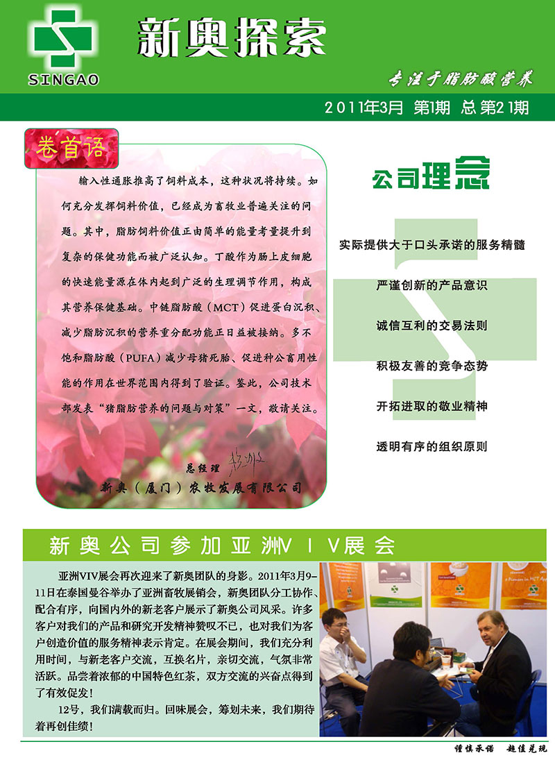 2025新澳正版資料精準解析，2025新澳正版資料精準解析手冊