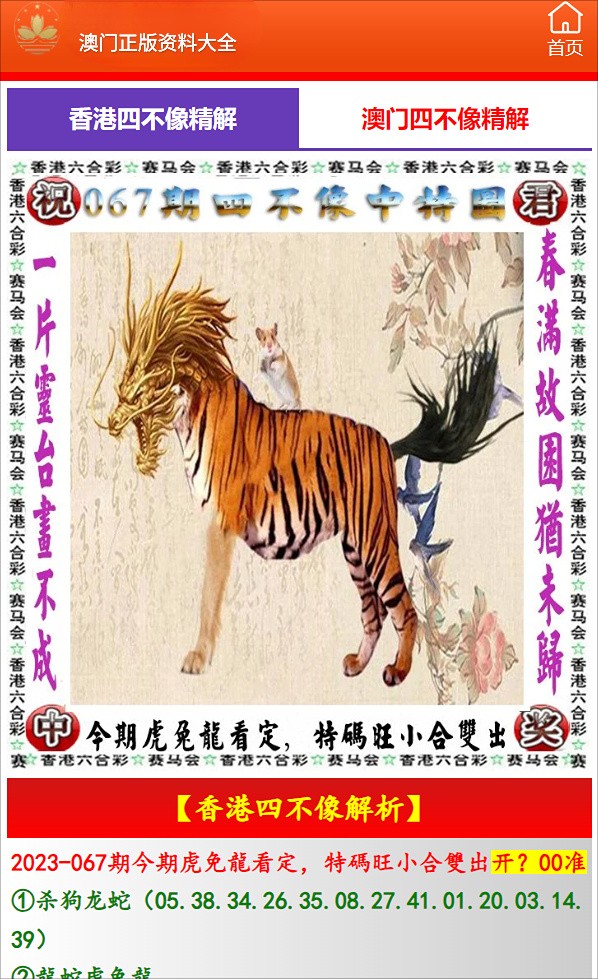 揭秘香港一碼一肖，真相究竟如何？，香港一碼一肖真相揭秘，探究背后的秘密？