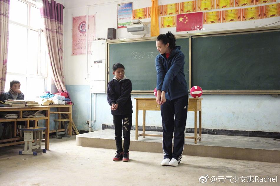 王中王平特一肖一大公開，深度解析與探索，王中王平特一肖公開，深度解析與探索揭秘