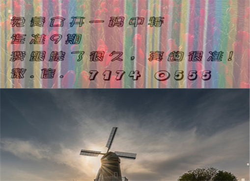 王中王四肖三期必出一期，揭秘彩票背后的秘密策略與技巧，揭秘彩票策略與技巧，王中王四肖三期必出一期之道