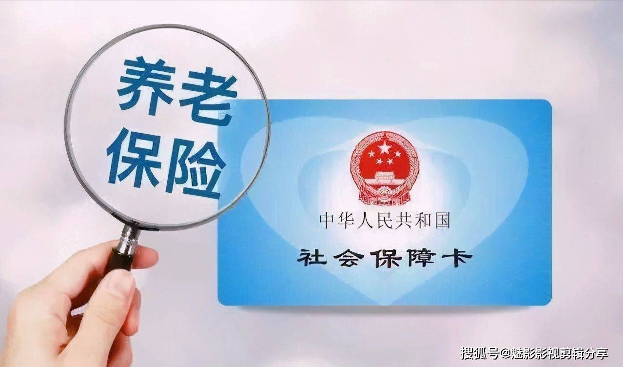 揭秘王中王一期一肖特中獎(jiǎng)背后的秘密，王中王一期一肖特中獎(jiǎng)背后的秘密揭秘