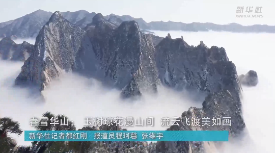 澳門最精準(zhǔn)龍門，探索真正的精準(zhǔn)之道，澳門最精準(zhǔn)龍門，揭秘真正的精準(zhǔn)之道