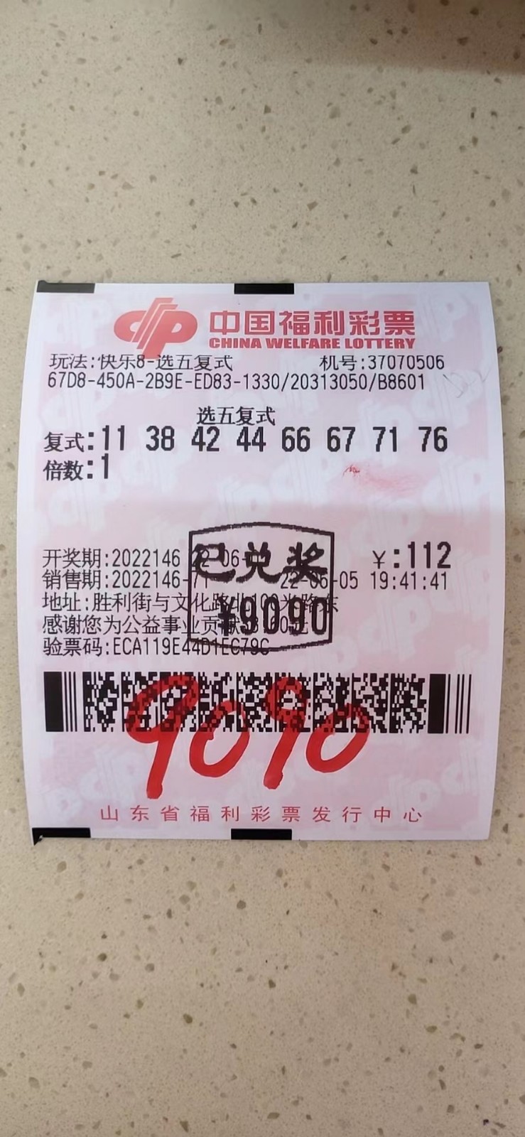 揭秘002期王中王平特一肖，背后的故事與奧秘，揭秘王中王平特一肖背后的故事與奧秘（第002期）