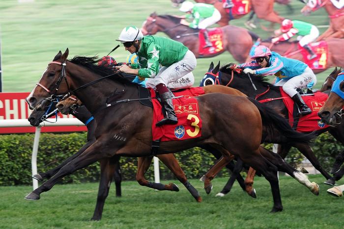 探索香港馬官網(wǎng)，一站式體驗7777788888的賽馬世界，探索香港馬官網(wǎng)，一站式賽馬世界體驗
