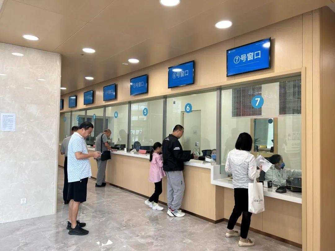 新門內(nèi)部資料免費(fèi)下載——探索與揭秘，新門內(nèi)部資料揭秘，免費(fèi)下載與探索之旅
