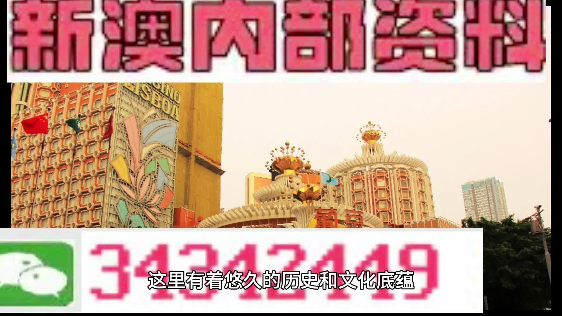 新門內(nèi)部資料大全免費(fèi)查詢——探索未知領(lǐng)域，獲取寶貴資源，新門內(nèi)部資料免費(fèi)探索，揭秘未知領(lǐng)域，獲取寶貴資源大全