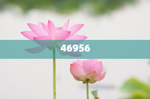 新奧集團(tuán)，邁向2025，天天開(kāi)好彩的愿景與挑戰(zhàn)，新奧集團(tuán)邁向2025，實(shí)現(xiàn)天天開(kāi)好彩的愿景與挑戰(zhàn)