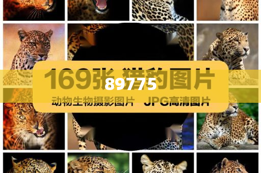 關(guān)于新奧歷史開獎記錄的最新信息，今天公布了嗎？，新奧歷史開獎記錄最新信息公布了嗎？