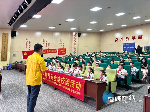 新奧49正版資料，探索與解析，新奧49正版資料深度探索與解析