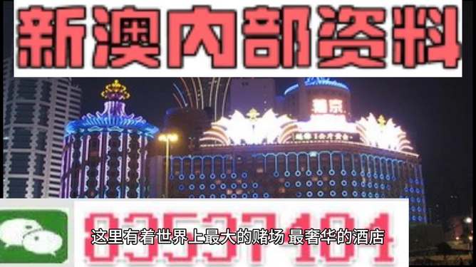 新澳持碼會資料詳解，新澳持碼會資料全面解析