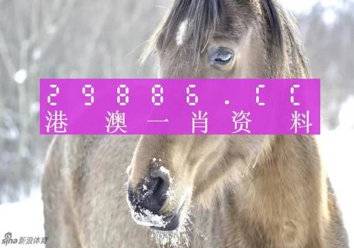 澳門一肖一碼100%精準(zhǔn)的背景故事，澳門精準(zhǔn)一肖一碼傳奇背景故事