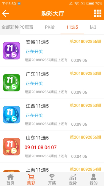 平特一肖王中王資料詳解與SEO優(yōu)化策略，平特一肖王中王資料詳解及SEO優(yōu)化策略全攻略