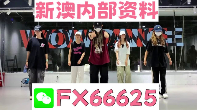 新奧天天免費(fèi)資料大全——探索與優(yōu)化的SEO之旅，新奧天天免費(fèi)資料大全，SEO探索與優(yōu)化之旅