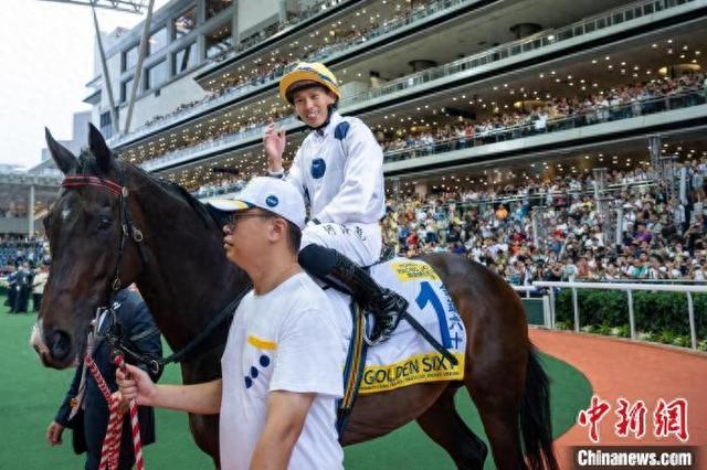 香港特馬王資料免費(fèi)公開，深度解析與探索，香港特馬王資料深度解析與探索，免費(fèi)公開揭秘