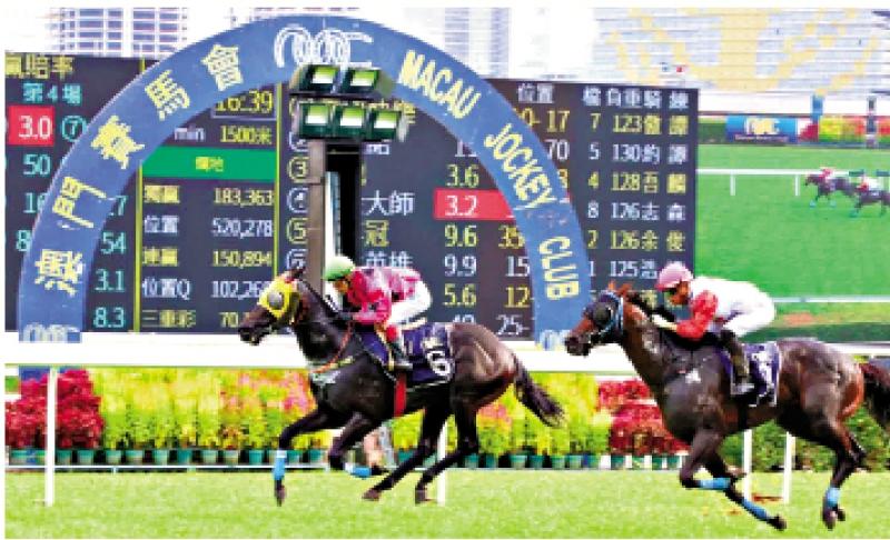 澳門賽馬會，歷史、文化與激情的交融，澳門賽馬會，歷史、文化與激情的盛會