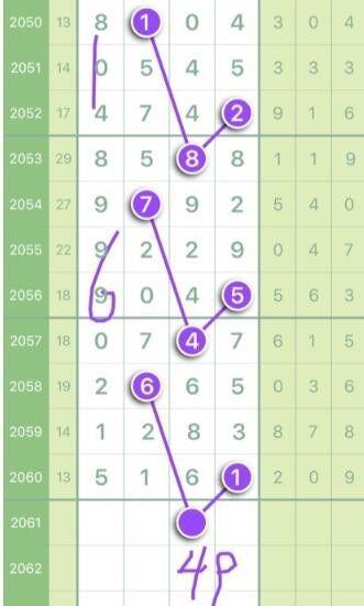 王中王資料一肖正特馬，深度解析與探索，王中王資料一肖正特馬深度解析與探索揭秘