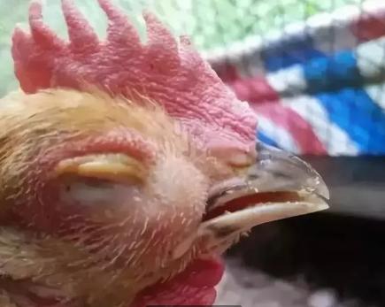 一覺醒來一只眼睛腫脹