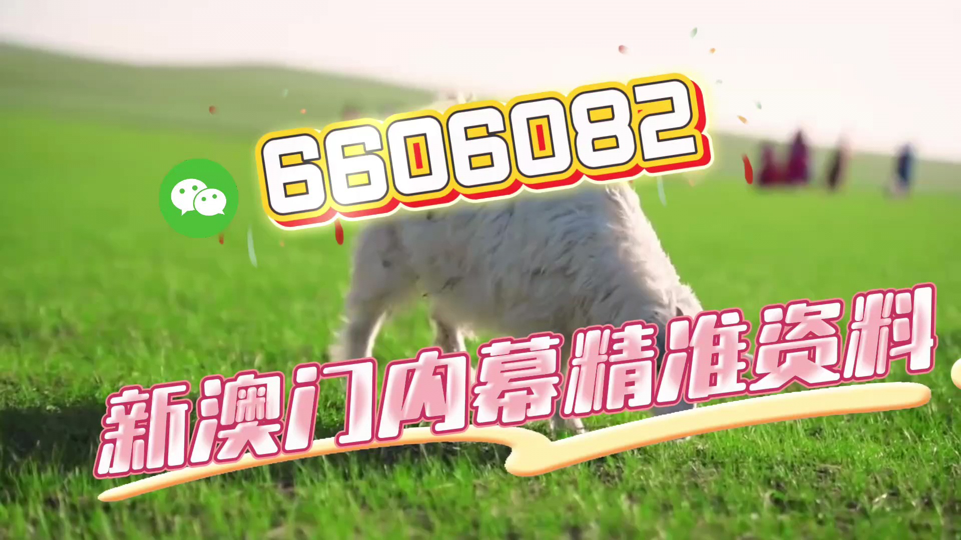 澳門一肖一碼準選今晚，揭秘彩票預測的秘密與策略，澳門彩票預測揭秘，今晚一肖一碼準選策略與秘密