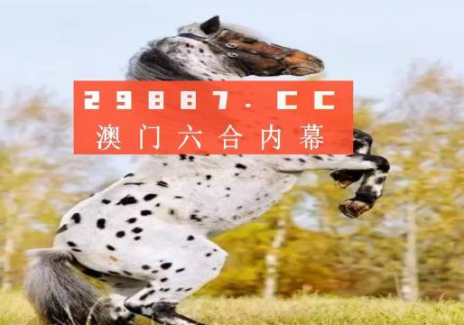 揭秘白小姐王中王四不像圖一，探尋肖中特的神秘面紗，揭秘白小姐王中王四不像圖與肖中特神秘面紗的背后真相