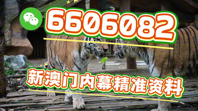 澳門今晚必開一肖一特，探索生肖彩票的魅力與預測，澳門生肖彩票探索，魅力揭秘與今晚預測一肖一特