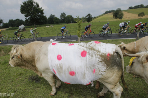 王中王四不像平特一肖圖